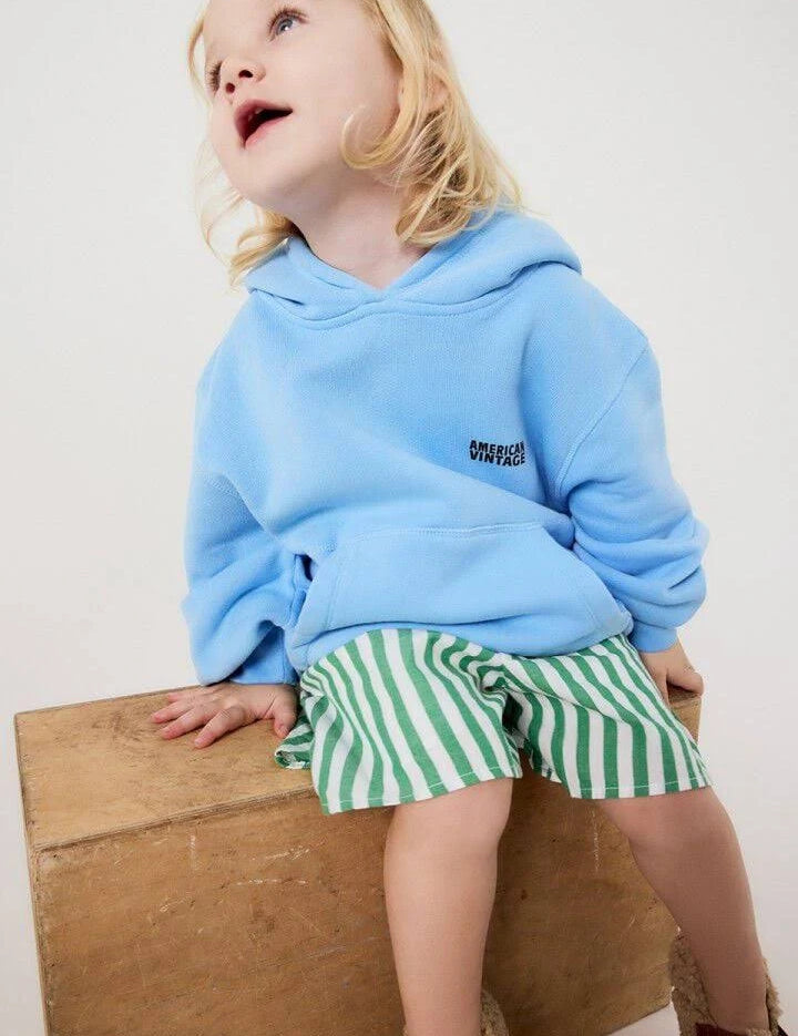 American Vintage | Izubird hoodie bleu ciel vintage