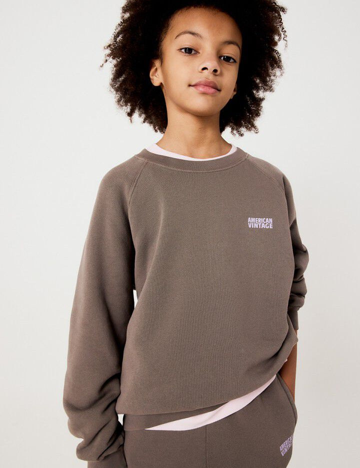 American Vintage | Izubird sweater cendre vintage