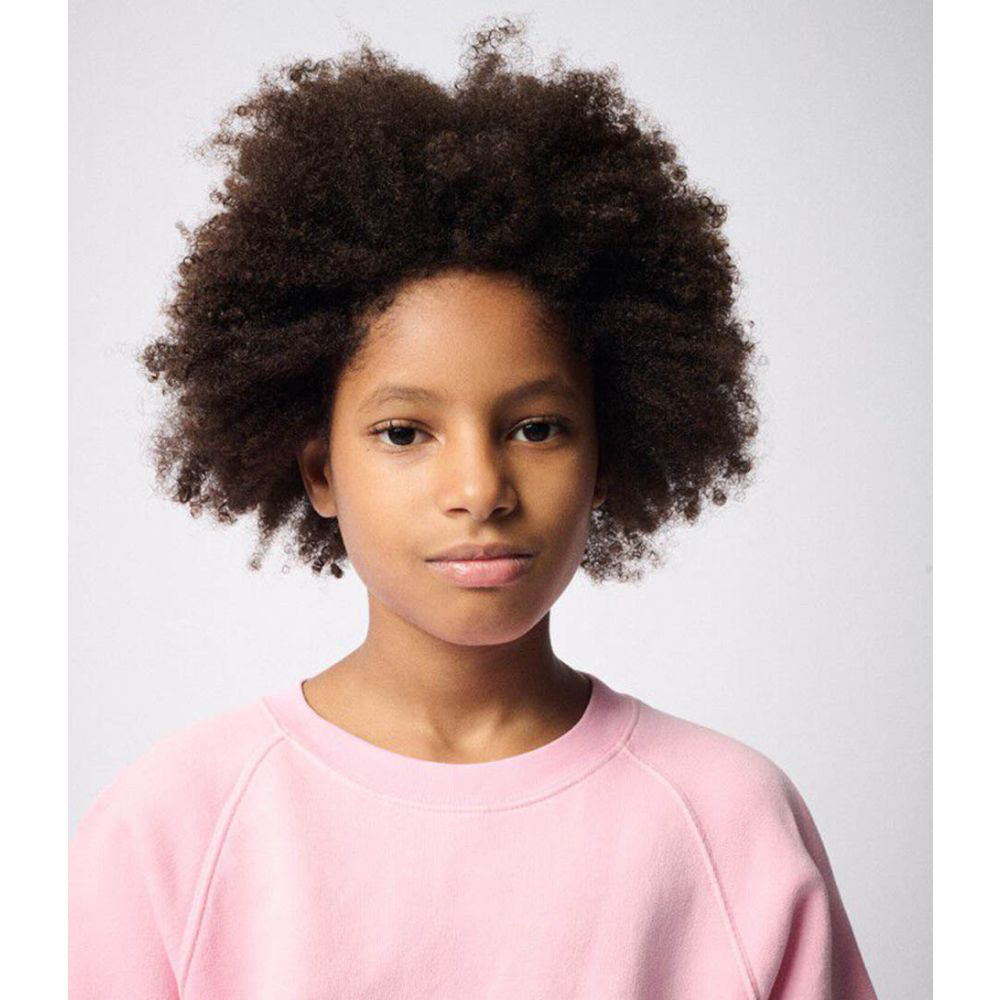 American Vintage Izubird sweater barbe a papa vintage