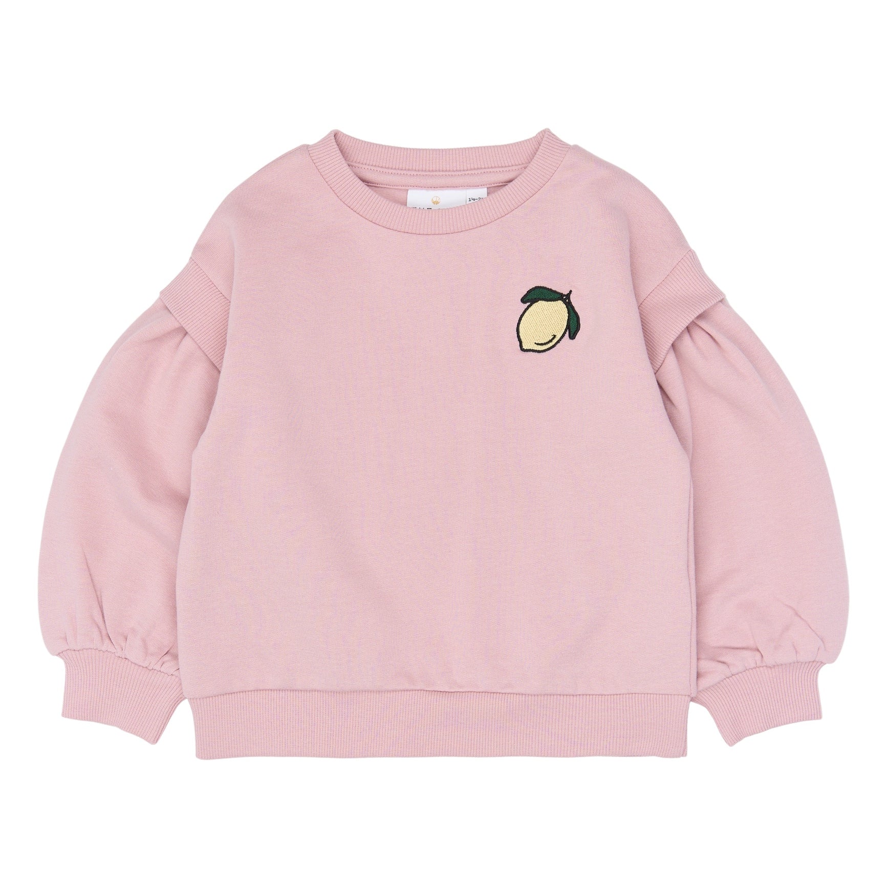 THE NEW SIBLINGS | Sapphire os sweatshirt silver pink