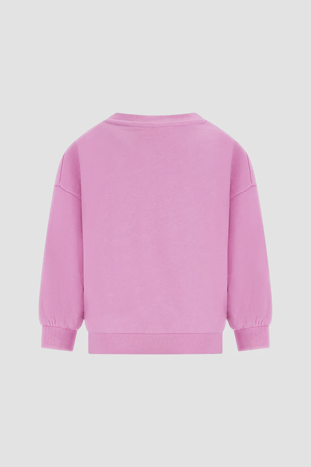 The New Chapter | Sweater Billie mauve mist