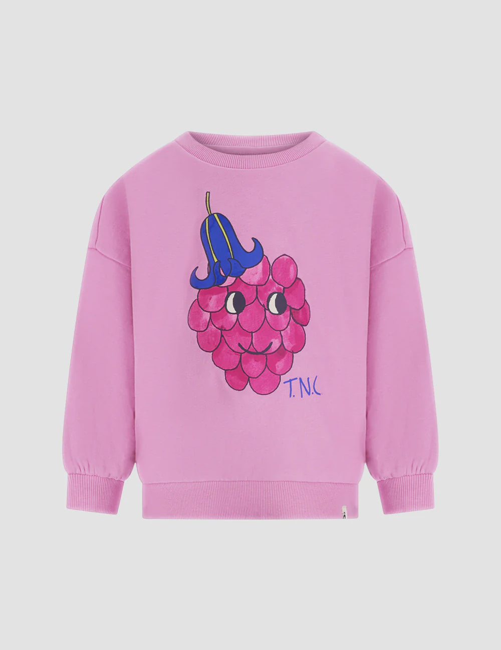 The New Chapter | Sweater Billie mauve mist