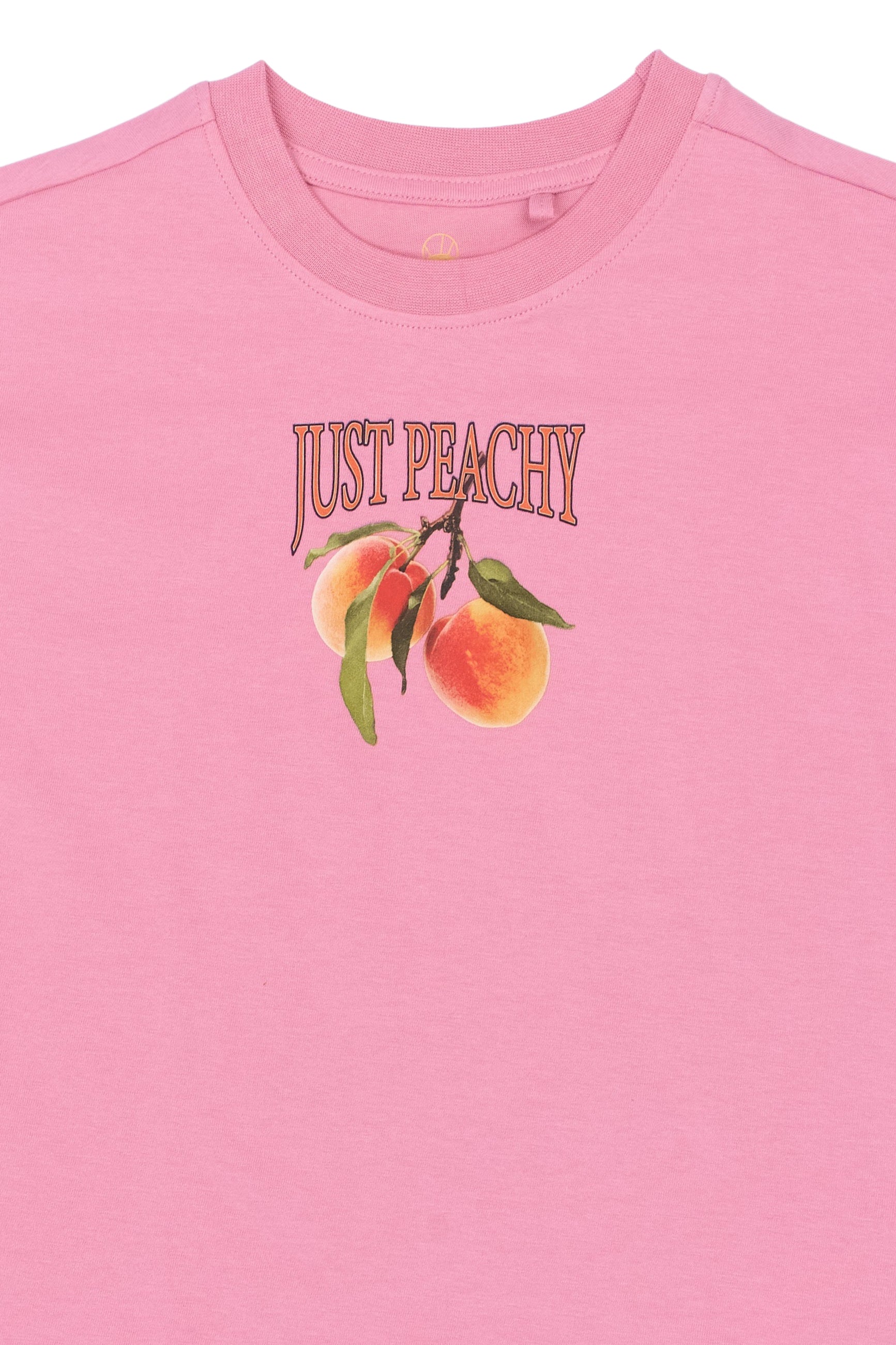 The New Tenna os s_s tee cashmere rose