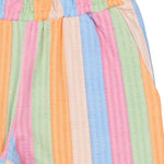 The New Trace shorts multi striped