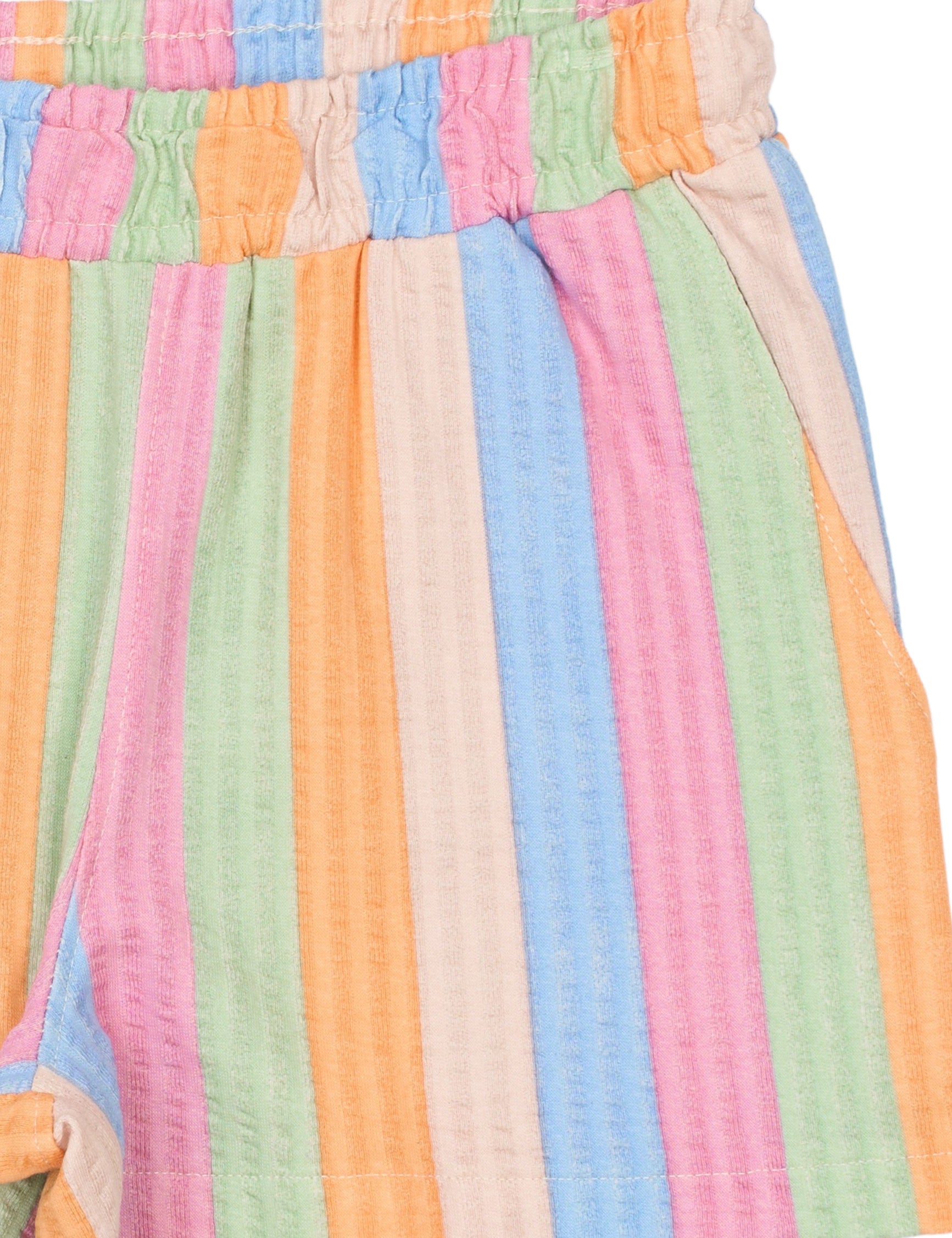 The New Trace shorts multi striped