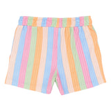 The New Trace shorts multi striped