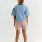 The New Trace shorts multi striped
