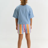 The New Trace shorts multi striped