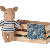 Big in Box - baby boy